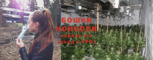 марихуана Новодвинск