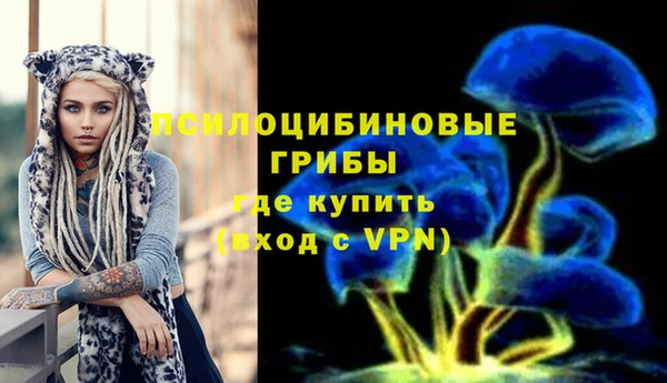 марихуана Новодвинск