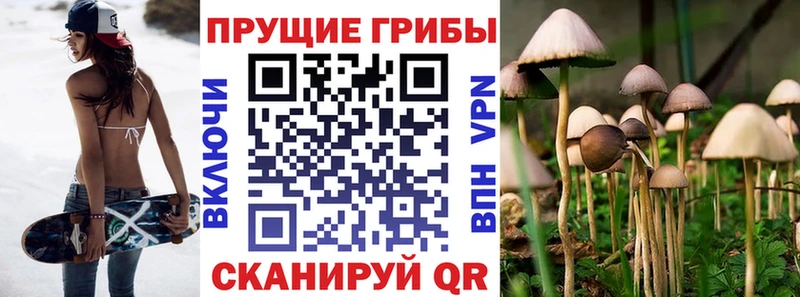 Псилоцибиновые грибы прущие грибы  что такое наркотик  Инсар 